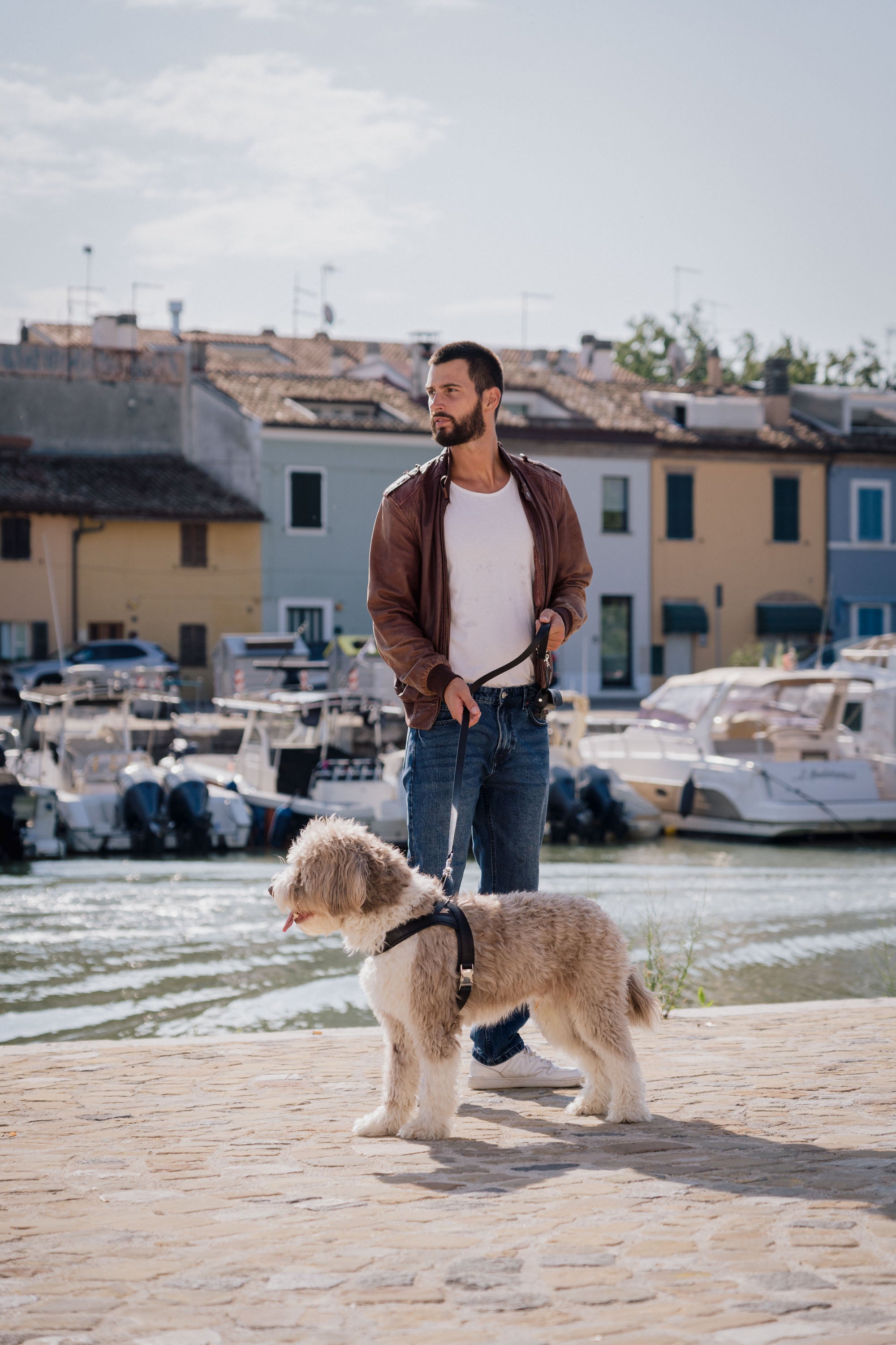 Kit pettorina | guinzaglio -10%