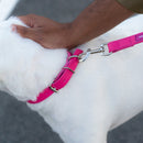 Collare con fibbia -20%