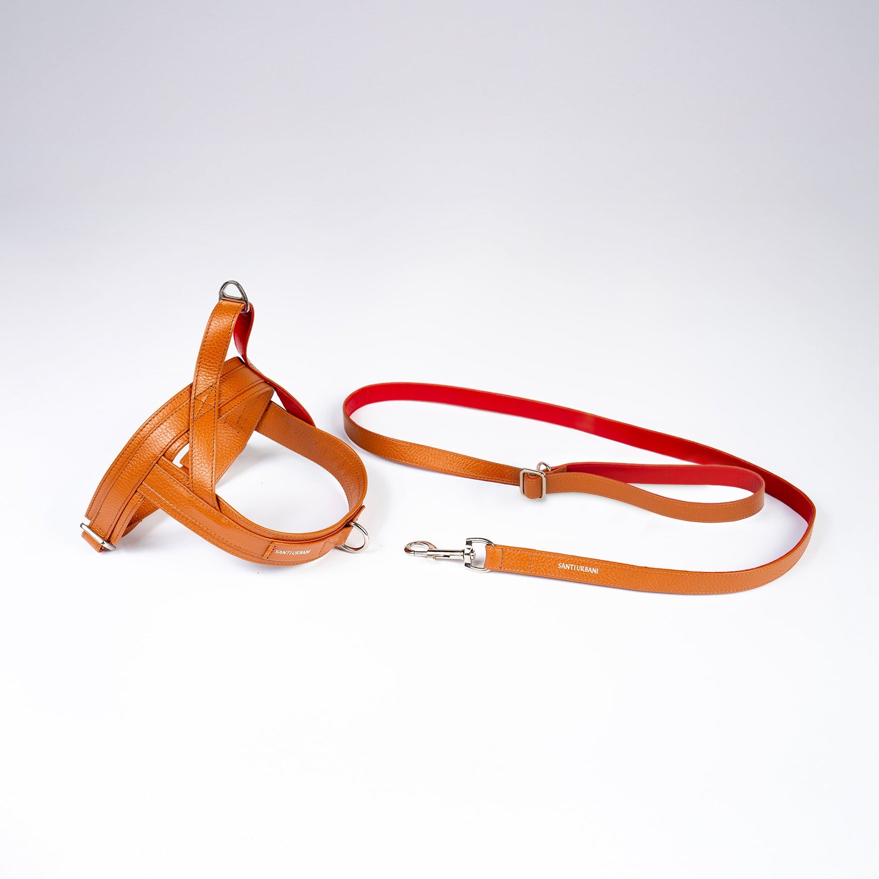 Kit pettorina | guinzaglio -10%