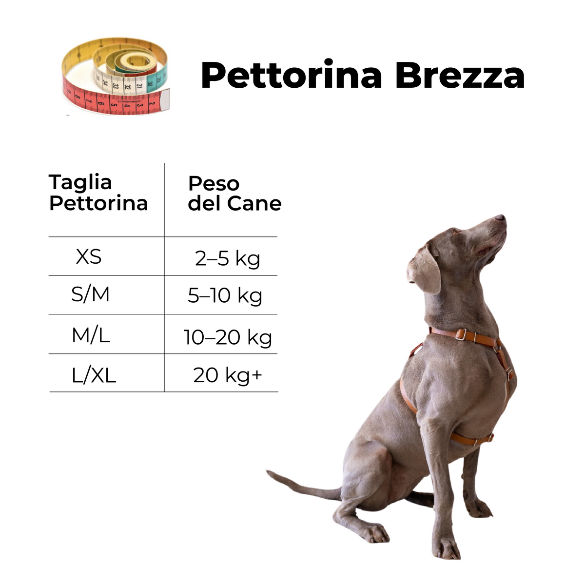 pettorina-brezza_solo_peso.png