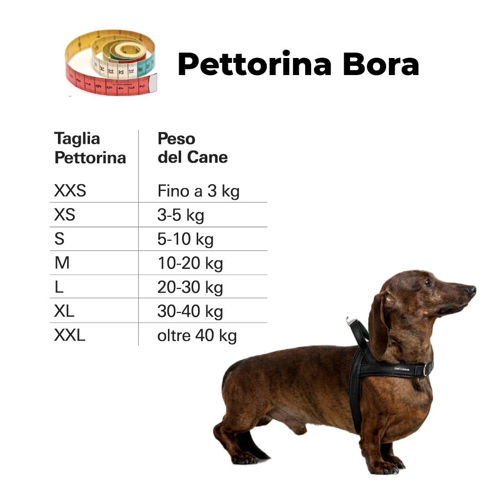 pettorina_Bora_solo_peso.png