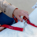 Collare con fibbia -20%