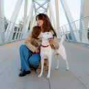 Collare con fibbia -20%